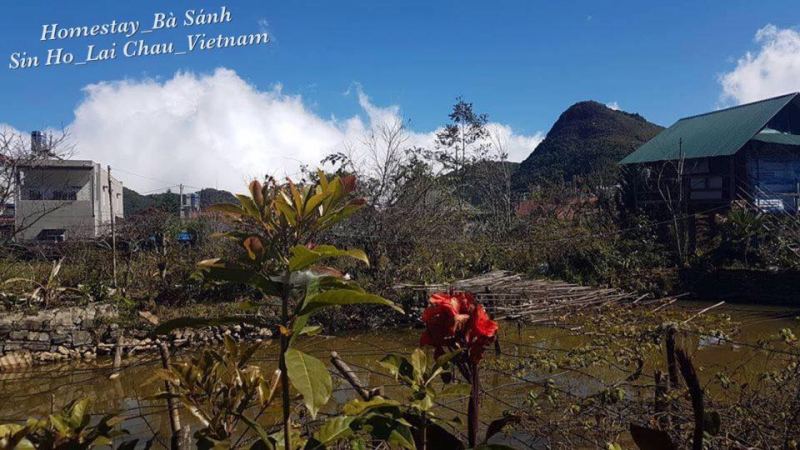 Bùi Sánh Homestay