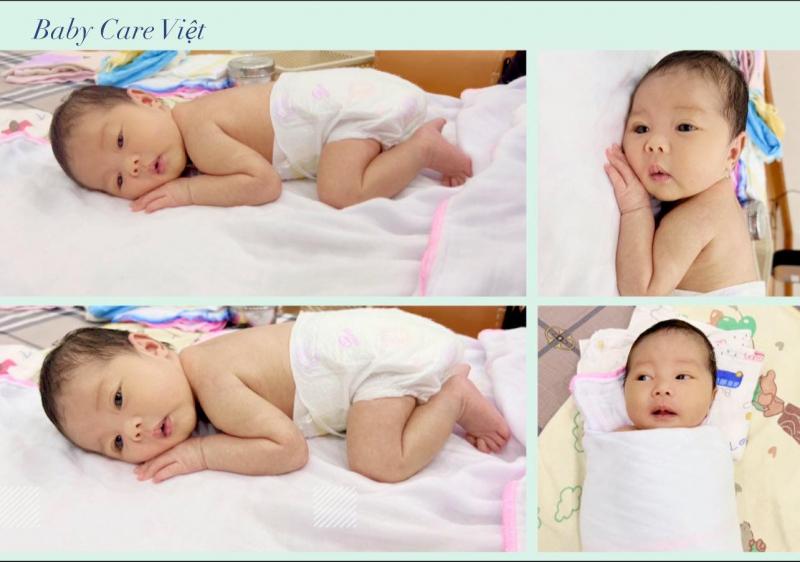Baby Care Việt