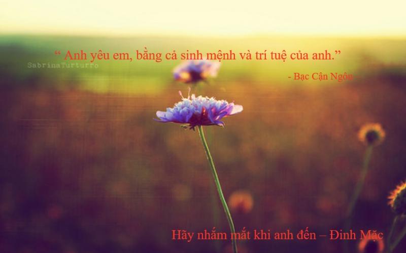 Bạc Cận Ngôn (Hãy nhắm mắt khi anh đến)