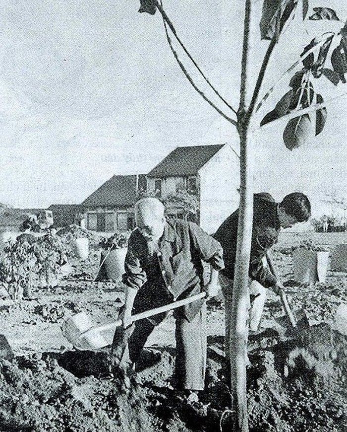 Hình minh hoạ