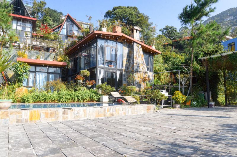 Bách Xanh House