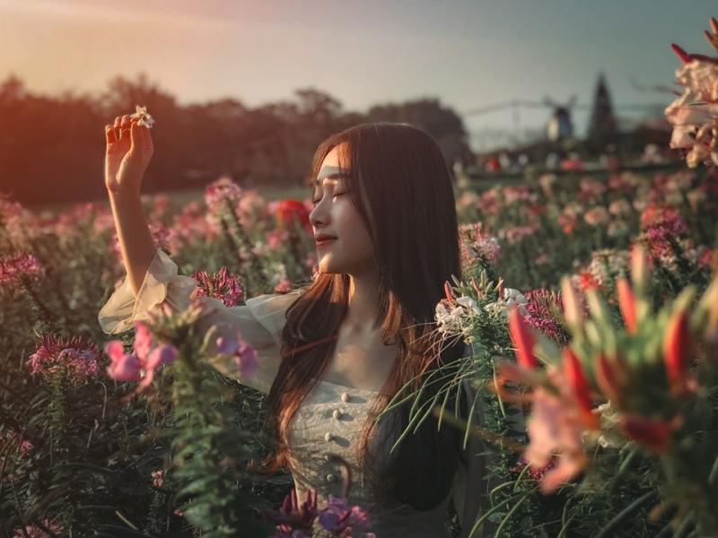 Bãi đá sông Hồng