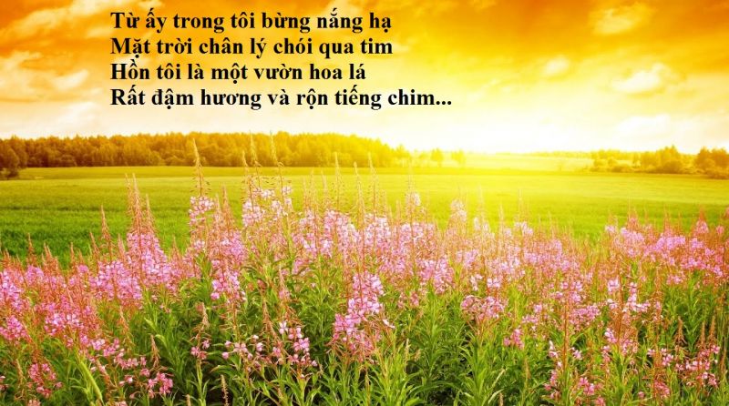 Bài phân tích lý tưởng của thanh niên thông qua bài thơ 