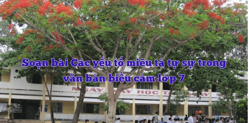 Ảnh minh họa (Nguồn internet)