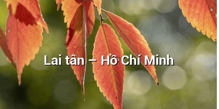 Ảnh minh họa (Nguồn internet)