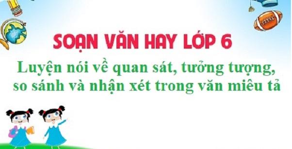 Ảnh minh họa (Nguồn internet)