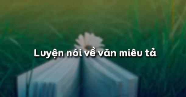 Ảnh minh họa (Nguồn internet)