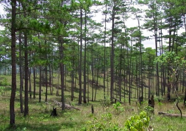 Bài soạn 