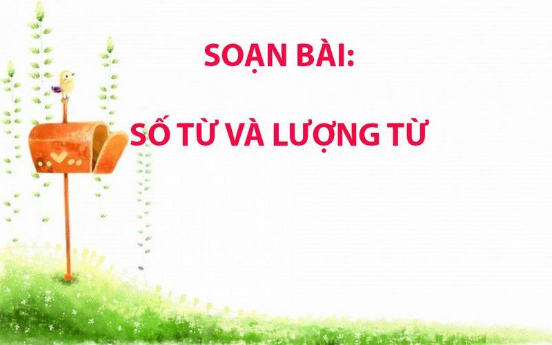 Ảnh minh họa (Nguồn internet)