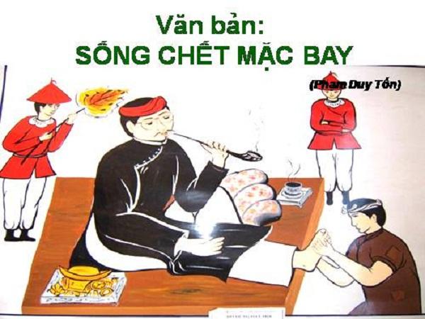 Ảnh minh họa (Nguồn internet)