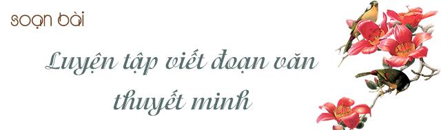 Hình minh họa