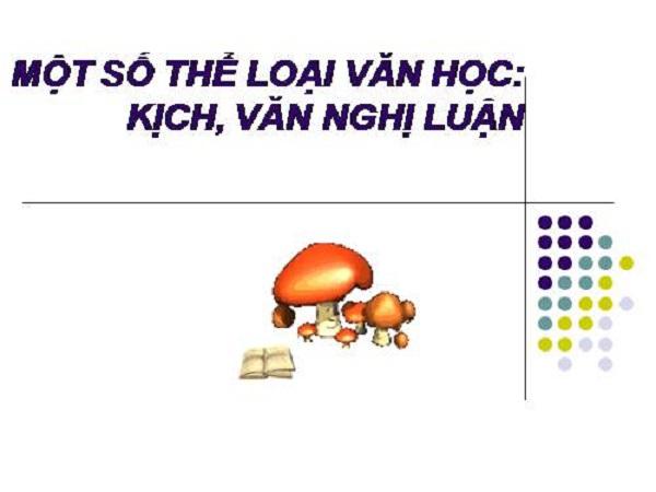 Hình minh họa