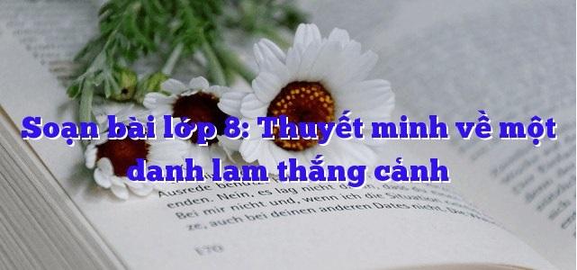 Ảnh minh họa (Nguồn internet)