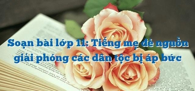 Ảnh minh họa (Nguồn internet)