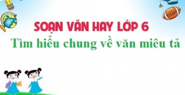 Ảnh minh họa (Nguồn internet)