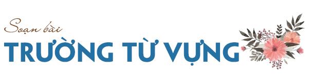 Ảnh minh họa (Nguồn internet)