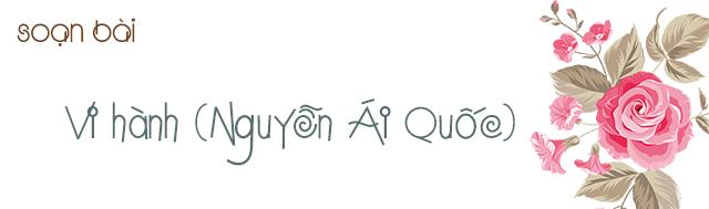 Ảnh minh họa (Nguồn internet)