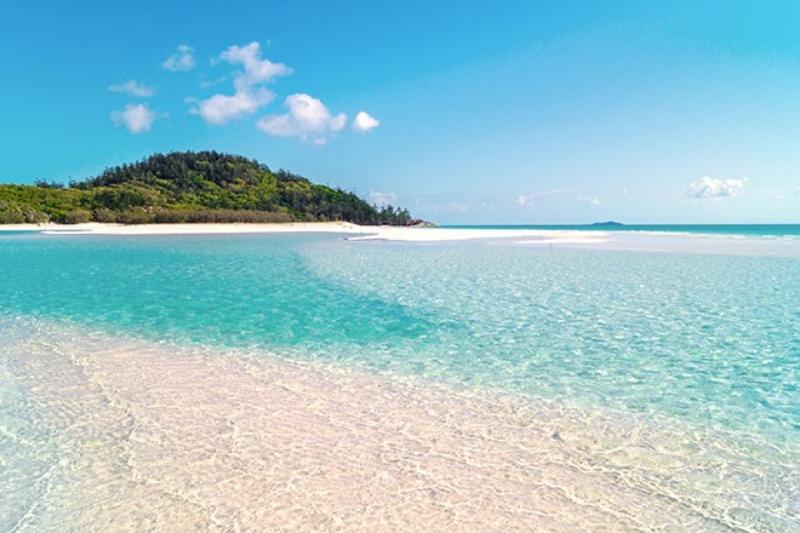 Bài tham khảo số 1