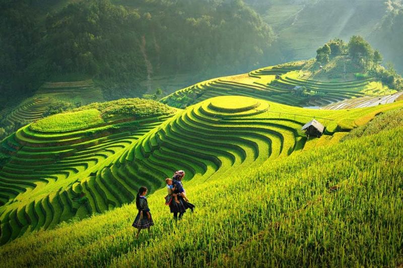 Bài tham khảo số 10