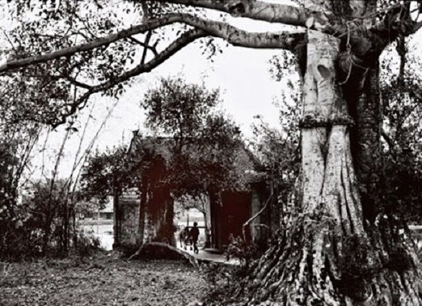 Hình minh họa