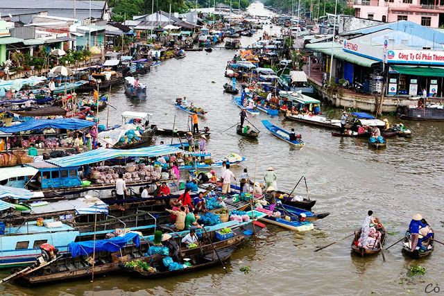 Hình minh họa