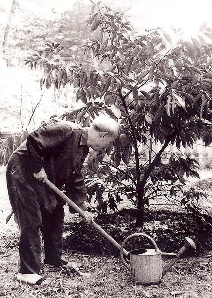 Hình minh hoạ