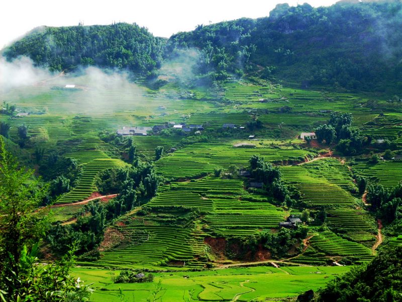 Bài tham khảo số 7