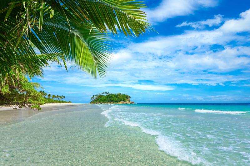 Bài tham khảo số 7