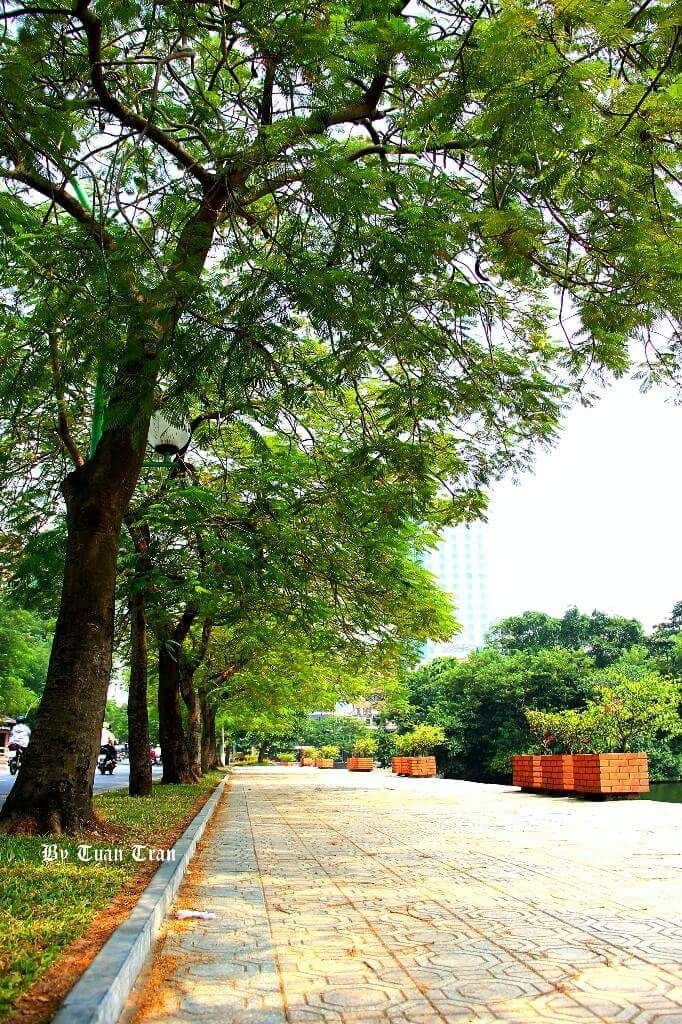 Ảnh minh họa (NAG Tuan Tran)