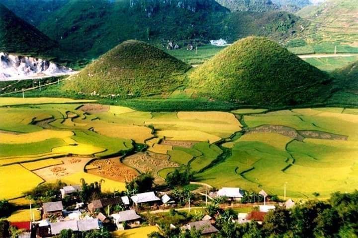 Ảnh minh họa (NAG Tuan Tran)