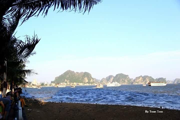 Ảnh minh họa (NAG Tuan Tran)