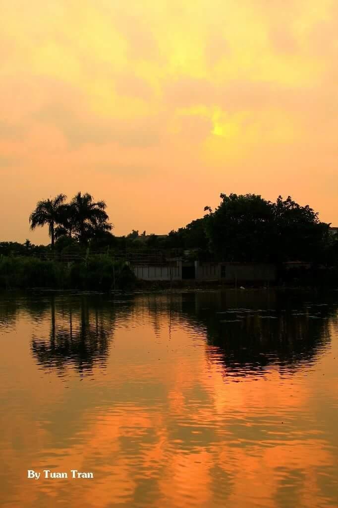Ảnh minh họa (NAG Tuan Tran)