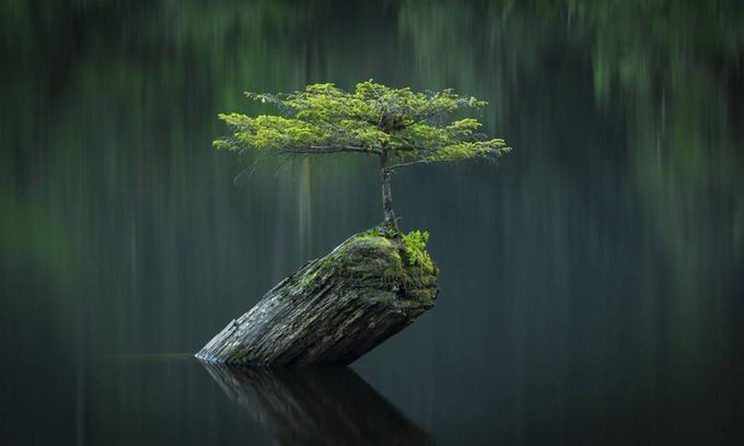 Khúc tình ca tháng bảy