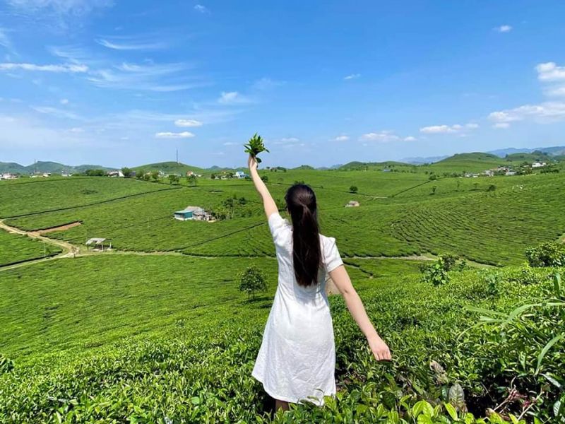 Ảnh minh họa (nguồn internet)