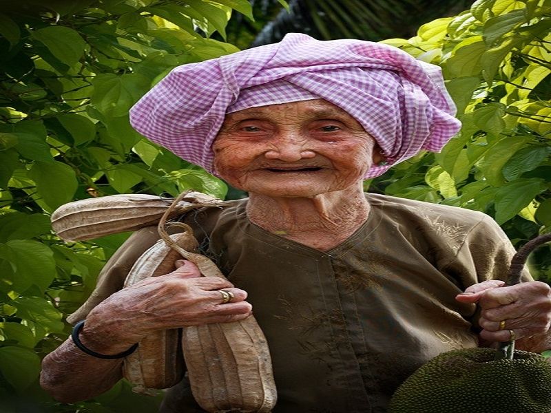Ảnh minh họa (nguồn internet)