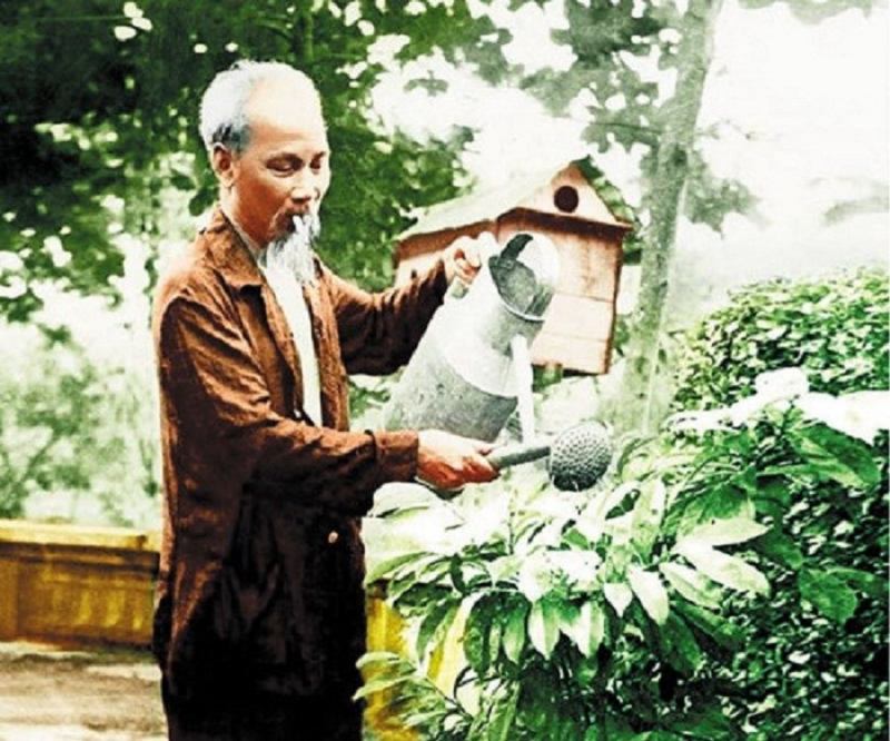 Ảnh chân dung Bác Hồ