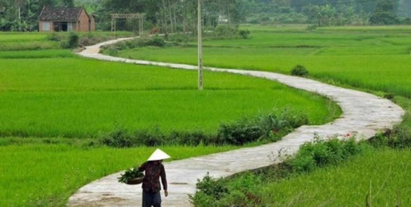 Ảnh minh họa (nguồn internet)