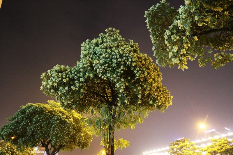Ảnh minh họa (nguồn internet)