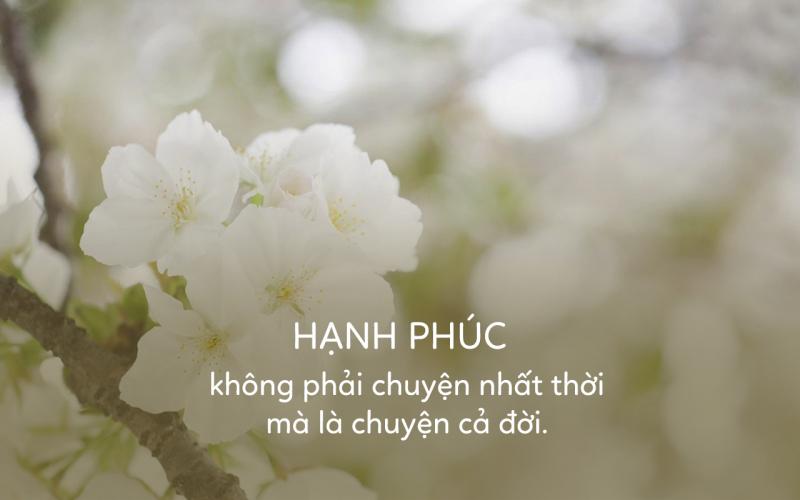 Ảnh minh họa (Nguồn internet)