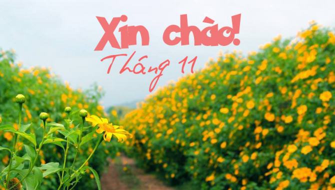 Ảnh minh họa (nguồn internet)