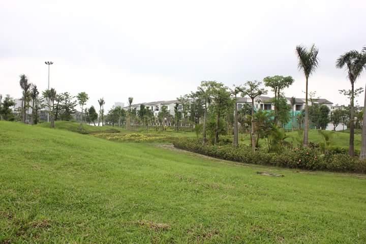Ảnh minh họa (nguồn internet)