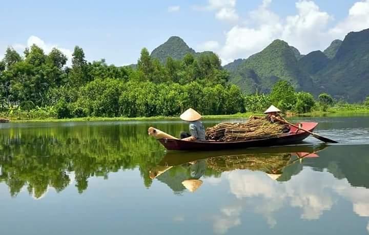 Ảnh minh họa (nguồn internet)