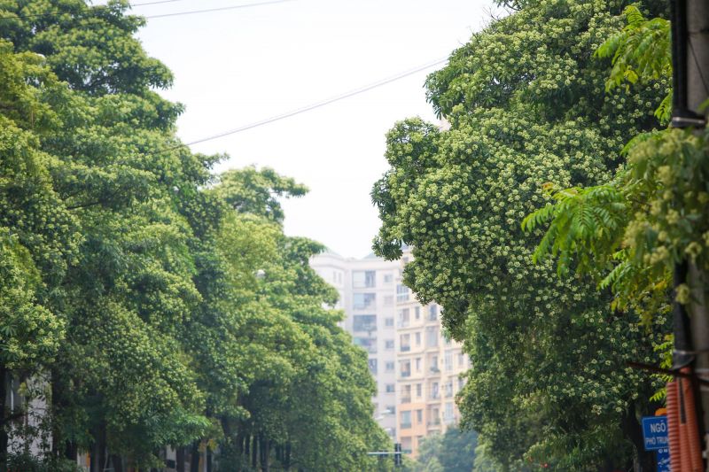 Ảnh minh họa (nguồn internet)
