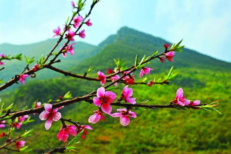 Những ngày áp Tết