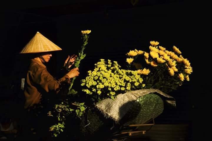 Ảnh  minh họa