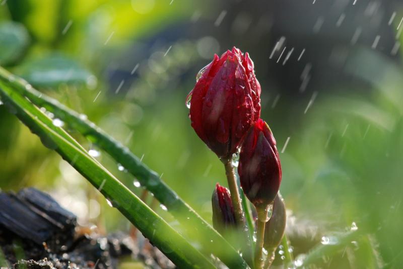 Xin một khoảng lặng nơi này