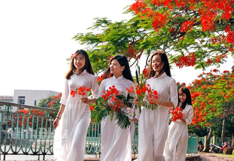 Bài viết về khoảng lặng số 12