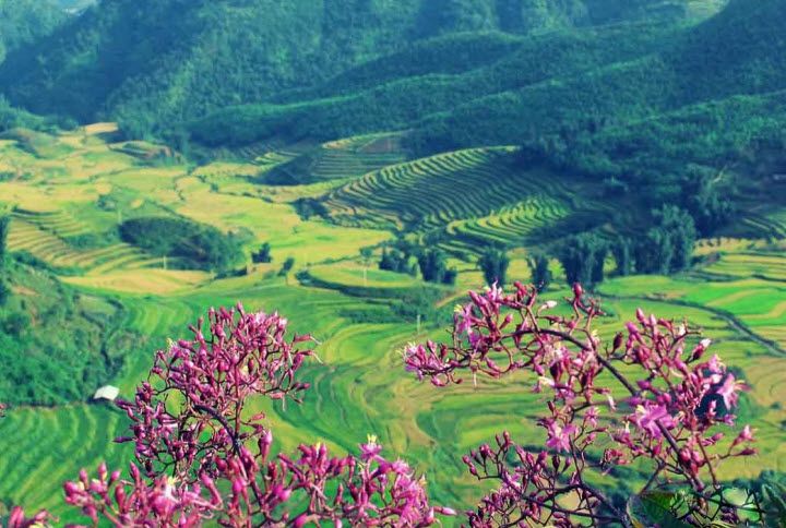 Ảnh minh họa (nguồn internet)