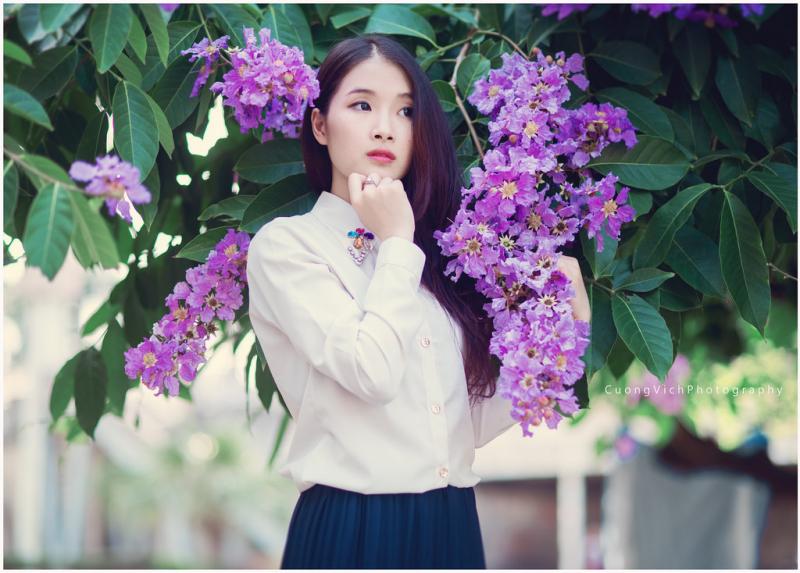 Ảnh minh họa (nguồn internet)