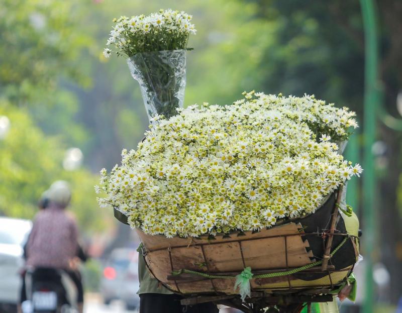 Tháng 11, Ngạt ngào hương gió chớm Đông